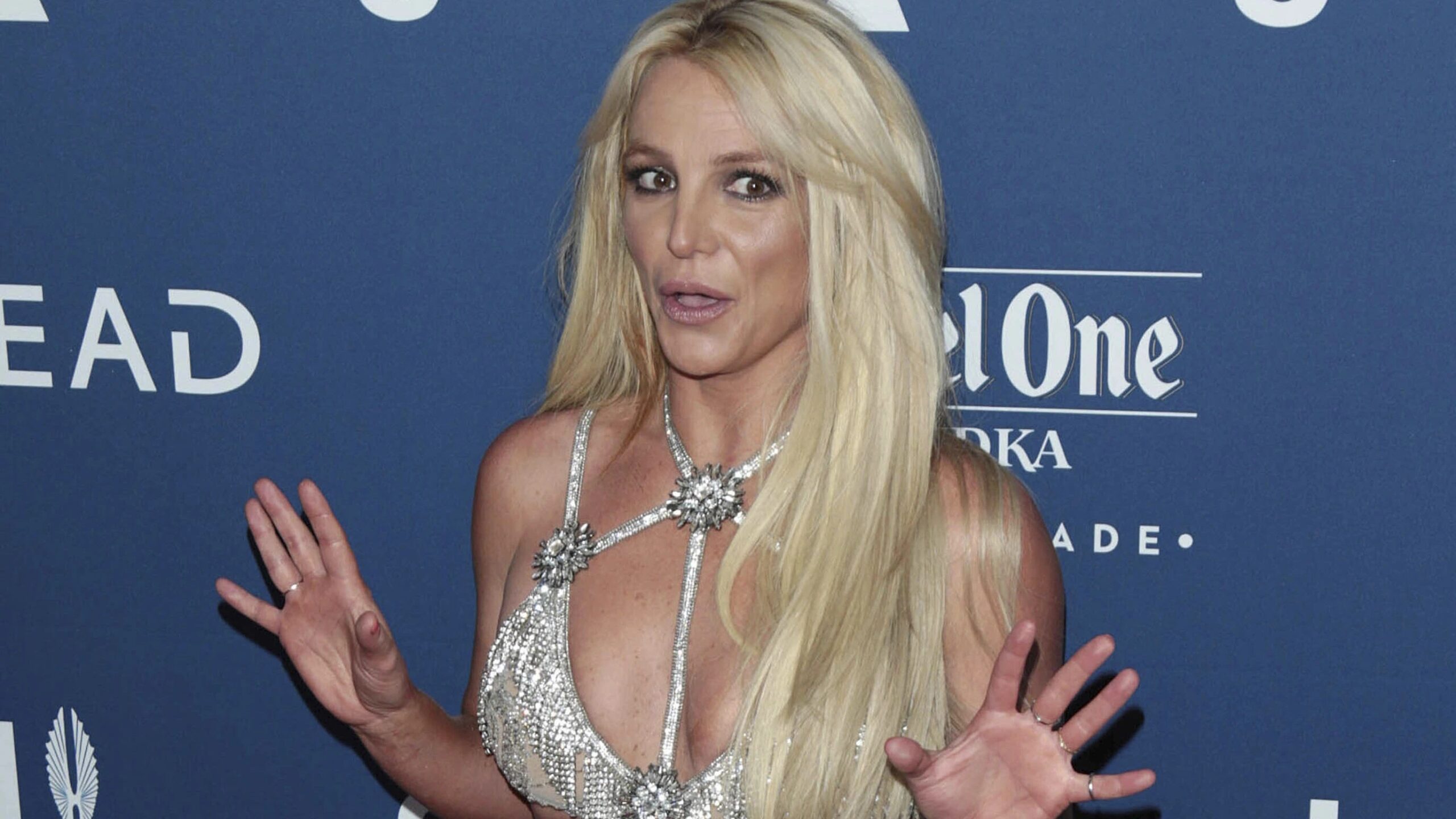 Sanger og artist Britney Spears