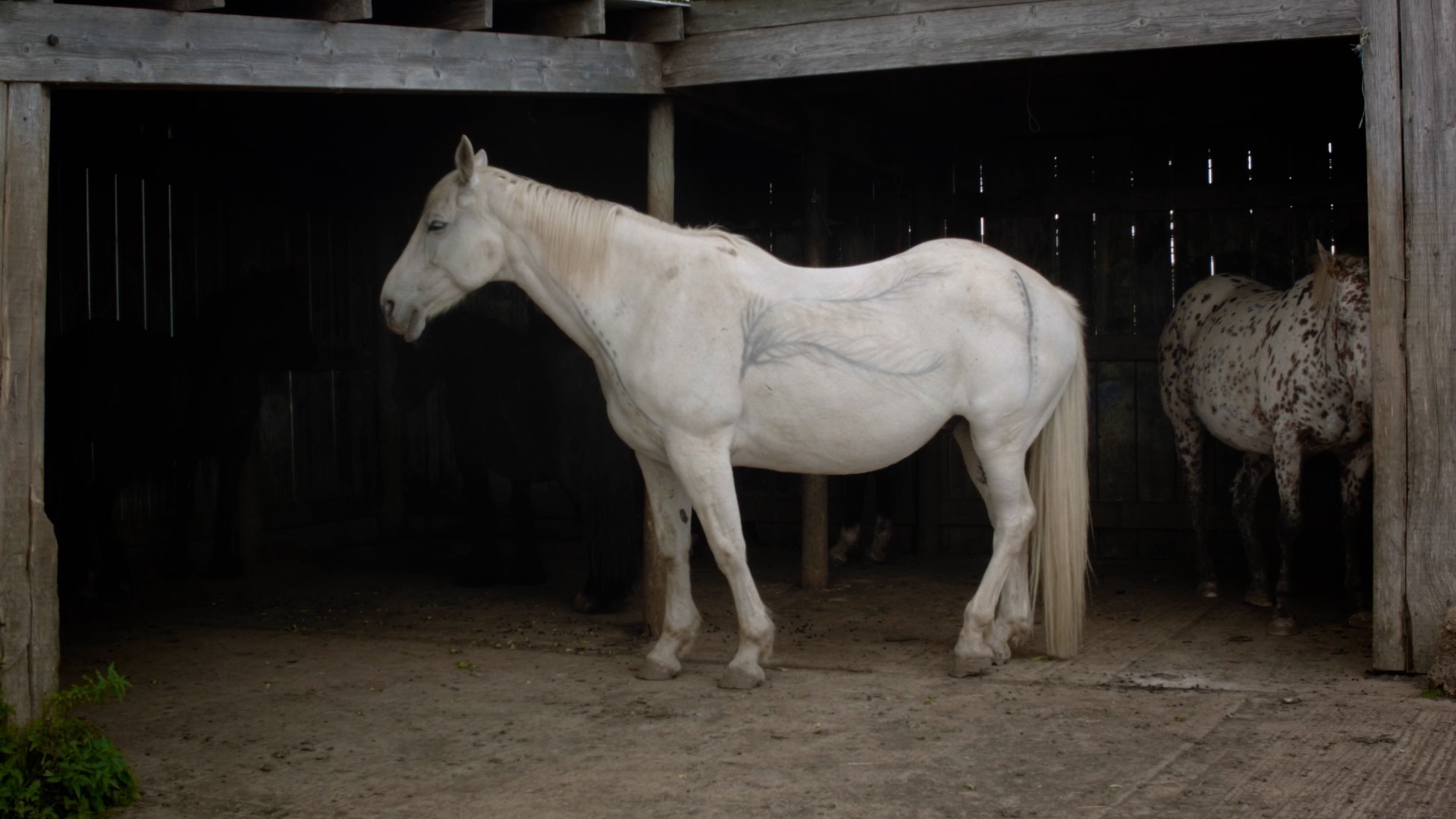 Izzy McEvoy viser på Podium. (Foto: Presse.)