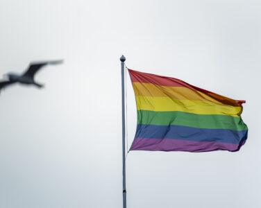 Et regnbueflagg vaier i vinden Oslo sentrum. (Foto: Håkon Mosvold Larsen/NTB.)