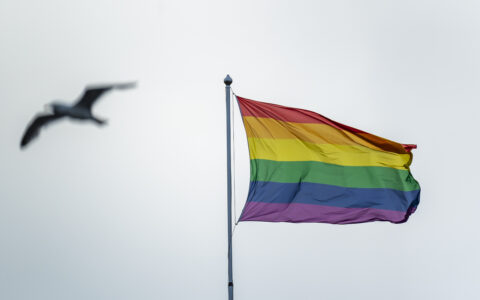 Et regnbueflagg vaier i vinden Oslo sentrum. (Foto: Håkon Mosvold Larsen/NTB.)