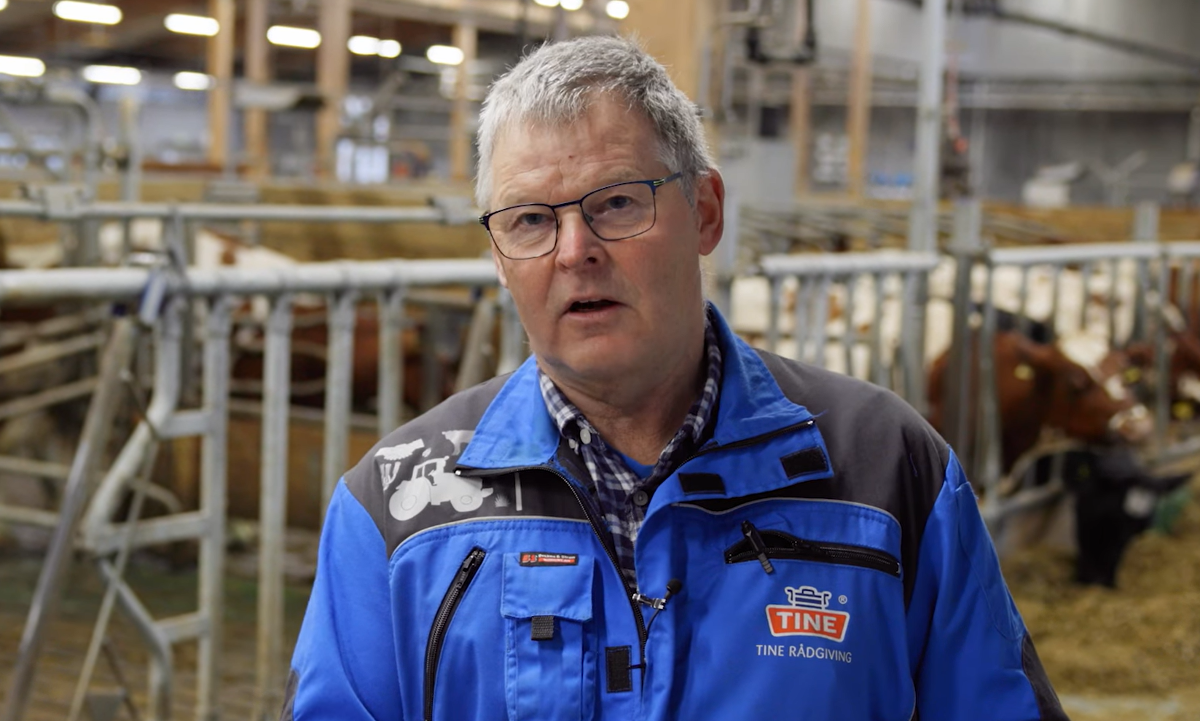 Professor Harald Volden, forsker på klimautslipp i landbruket og er rådgiver for Tine. Han har avvist alle bekymringer for Bovaer som grunnløse. (Foto: Tine.)