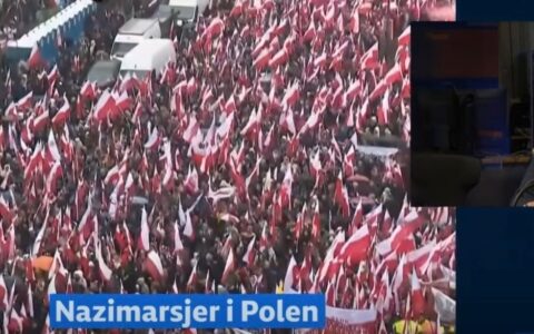 Dette var en krenkelse mot 38 millioner polske borgere og over 110.000 polakker som bor i Norge: Hvordan tror du nordmenn ville reagert dersom BBC omtalte 17. mai som en «nazimarsj», spør Olivier Karkoszka. (Foto: Skjermbilde, NRK.)