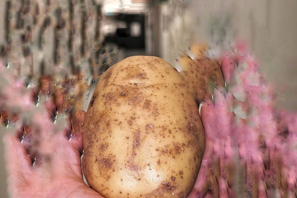 Poteten er blitt forteller. (Foto: Presse).