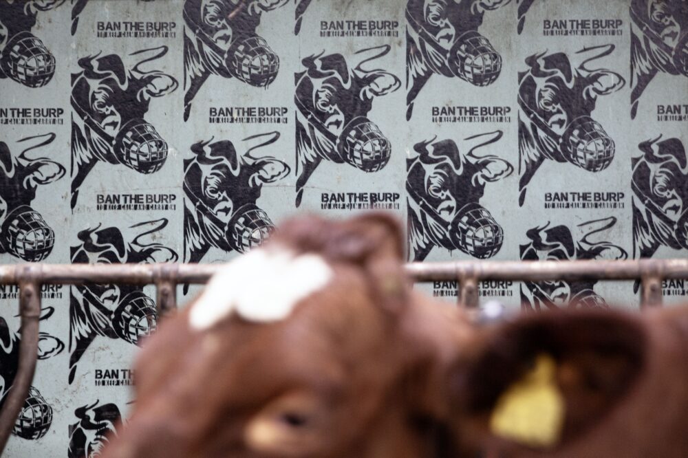 PØBEL Ban the burp anonym kunstner Gjesdal Bovaer