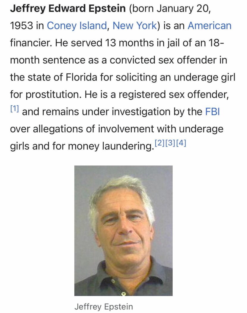 Slik skal Wikipedia-siden om Jeffrey Epstein ha sett ut i 2011, i perioden da hun skrev til Epstein «Googlet deg. Enig i at det ikke ser så bra ut : ) (Skjermbilde.)»