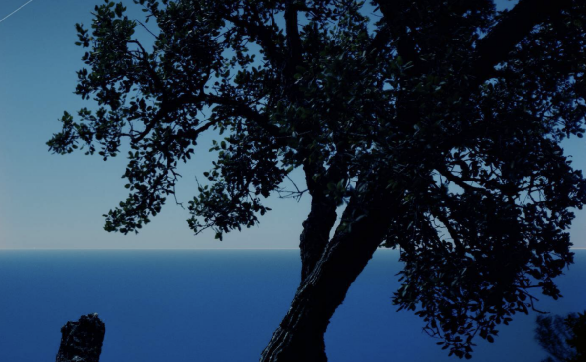 En forsmak på Marie Bovo på OSL Contemporary. (Foto: Presse.)