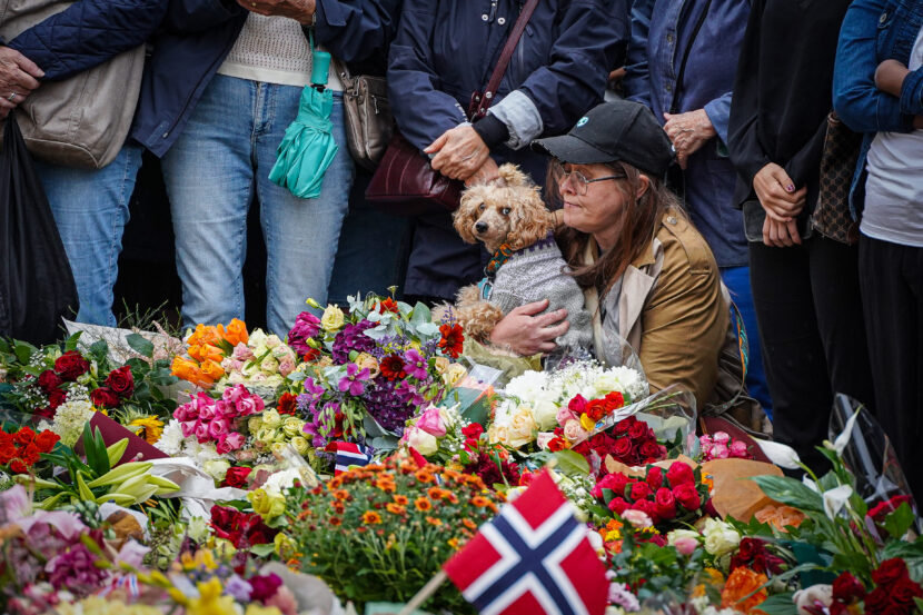 Folk har samlet seg på Slottsplassen for å sørge over kong Harald og vise sin respekt. (Foto: Iver Skrede/Subjekt.)