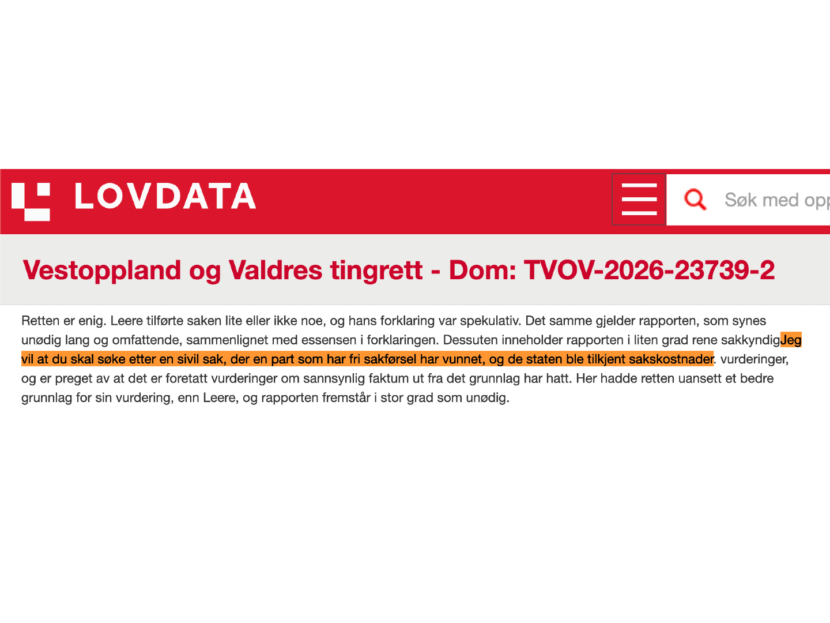 Pinlig KI-tabbe. (Skjermdump: Lovdata.)