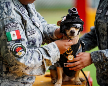 Chihuahuaen Comando er det minste medlemmet av Mexicos nasjonalgarde. (Foto: Toya Sarno Jordan.)