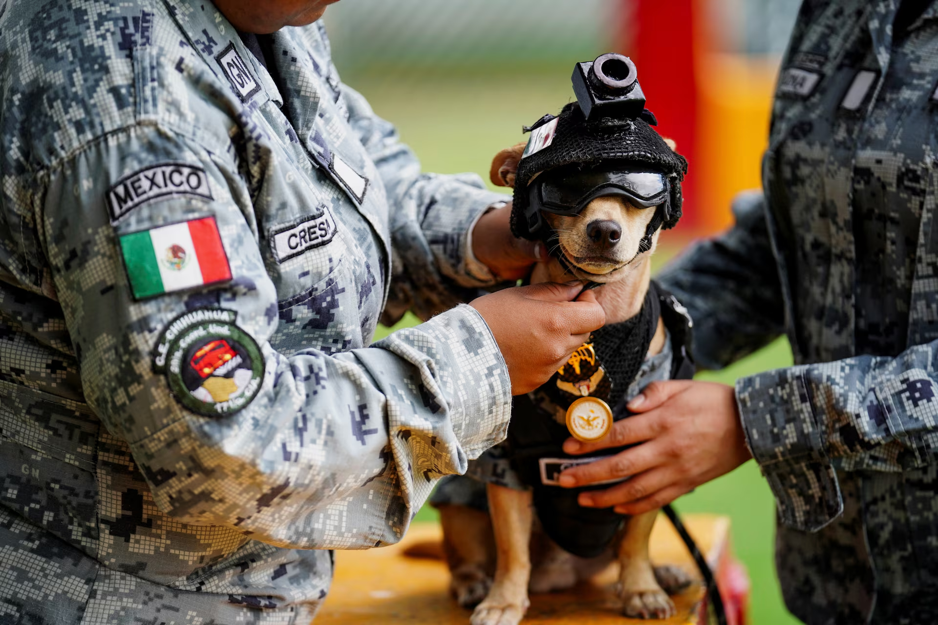 Chihuahuaen Comando er det minste medlemmet av Mexicos nasjonalgarde. (Foto: Toya Sarno Jordan.)