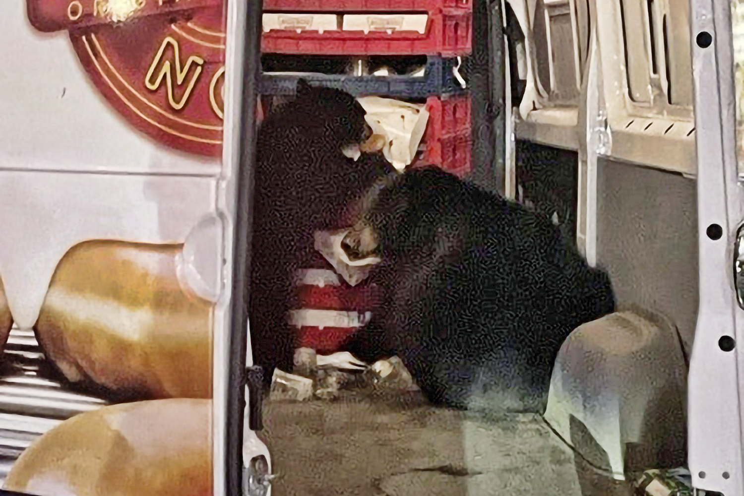 Bjørner raidet doughnut-leveranse i Alaska. (Foto: Shelly Deano/AP.) 2 3:2