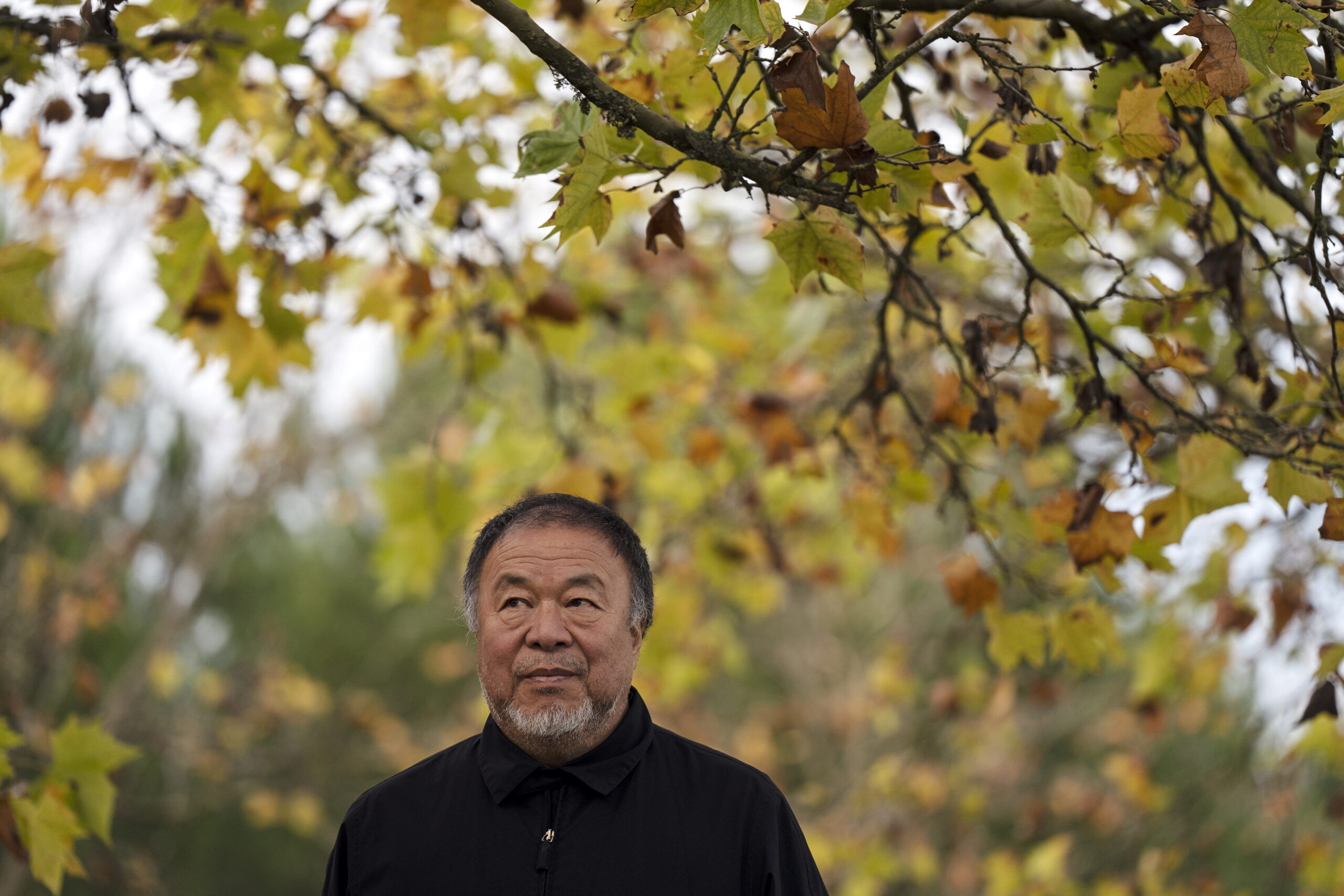 Dissident Chinese artist and activist Ai Weiwei poses for a photo in the garden of his country house in Montemor-o-Novo, Portugal, Tuesday, Dec. 6, 2022. Ai is taking heart from recent public protests in China over the authorities' strict COVID-19 policy, but he doesn't see them bringing about any significant political change. (Foto: AP Photo/Ana Brigida.)